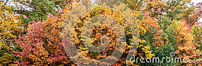 Colorful autumnal panorama image forest Stock Photo