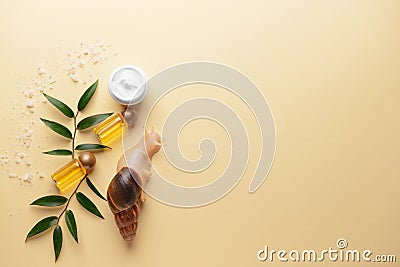 Giant Achatina snail and cosmetics on color background Stock Photo