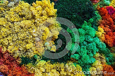 Colorful Background Stock Photo