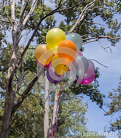 Colorful balloons on the blue sky Stock Photo