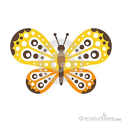 Colorful beautiful butterfly with open wings vector Illustration Vector Illustration