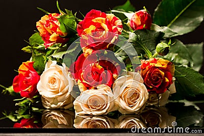 Colorful, beautiful, delicate roses Stock Photo