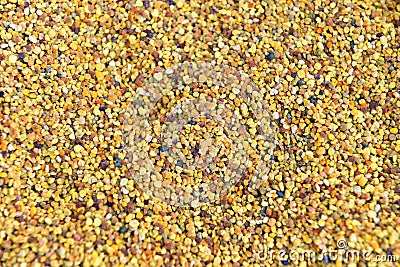 Colorful bee pollen background Stock Photo