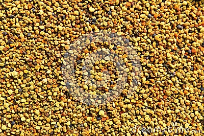 Colorful bee pollen background Stock Photo