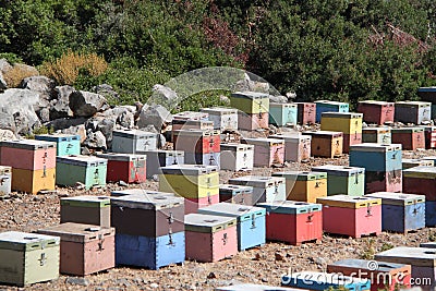 Colorful Beehive Boxes Stock Photo