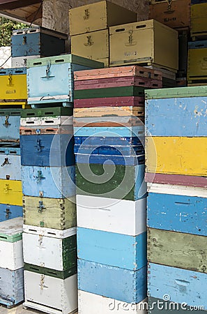 Colorful beehive Editorial Stock Photo