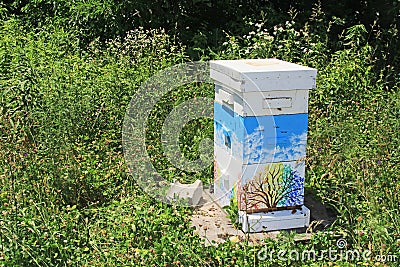 Colorful Beehive Beside a Green Copy space Stock Photo