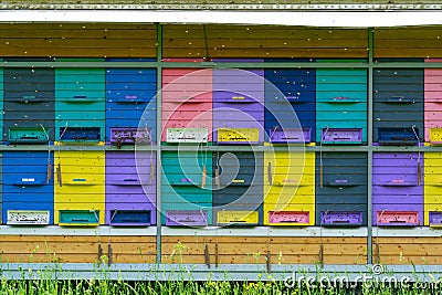 Colorful beehive on a trailer Stock Photo