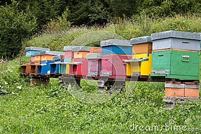 Colorful Beehives Stock Photo