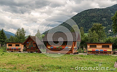 Beehives in Austria, apiculture Stock Photo