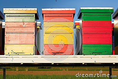 Colorful beehives with domesticated honeybees in flight Stock Photo