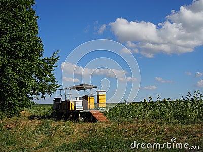 Colorful beehives in sunflower` field in Provance, France Stock Photo
