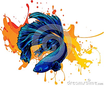 Colorful Betta Fish with green water splash Vector Illustration. Vector Illustration