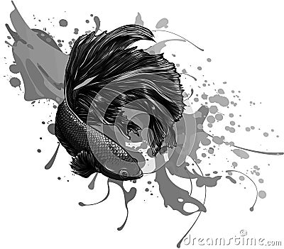 Colorful Betta Fish with water splash Vector Illustration. Vector Illustration