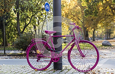 Colorful bicycle in the park at autumn Stock Photo