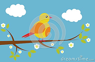 Colorful Bird with blue background Vector Illustration