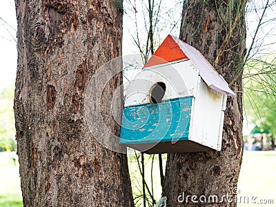 Colorful Bird Houses in the park Hanging on a tree, The bird house was placed at various points.birdhouse forest with many brightl Stock Photo