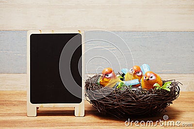 Colorful bird with nest and space copy wooden blackboard Stock Photo