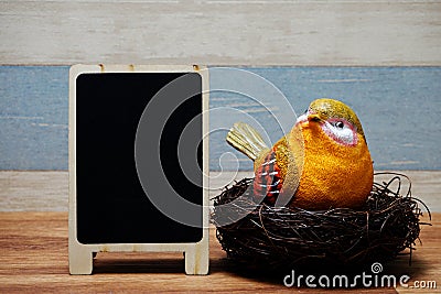 Colorful bird with nest and space copy wooden blackboard Stock Photo