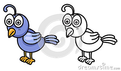 Colorful and black and white quail for coloring book Vector Illustration
