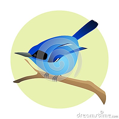 Colorful blue bird on a branch, side profile. Exotic fauna. Vector Illustration