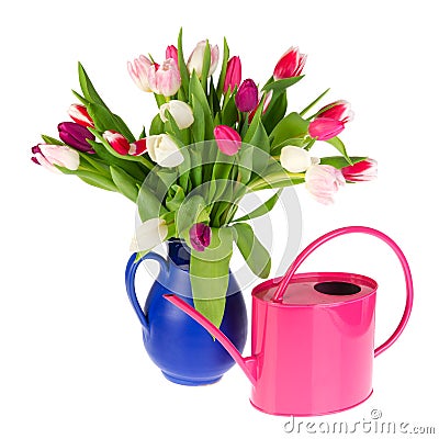 Colorful bouquet tulips Stock Photo