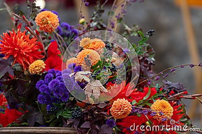 Colorful bouquets of autumn flowers on defocused background with copy space for text Stock Photo