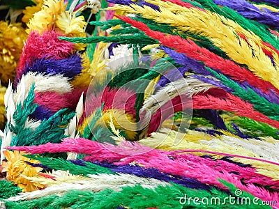 Colorful branches Stock Photo