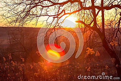 Colorful bright fiery sunset behind the trees Stock Photo