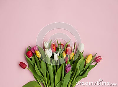 Colorful bunch on pink background Stock Photo