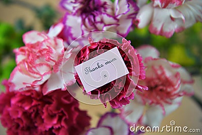 Colorful bunch of spring carnation flowers and miniature note for thank you mum Stock Photo