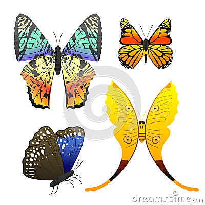 Colorful butterflies with abstract decorative pattern summer free fly present silhouette and beauty nature spring insect Vector Illustration