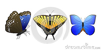 Colorful butterflies with abstract decorative pattern summer free fly present silhouette and beauty nature spring insect Vector Illustration