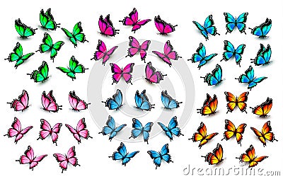 Colorful butterflies set. Vector. Vector Illustration