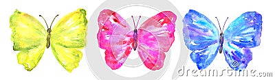 Colorful butterflies: yellow, pink, blue. Hand drawn watercolor illustration. Isolated on white background. Stock Photo