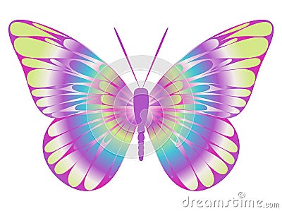 Colorful butterfly Cartoon Illustration