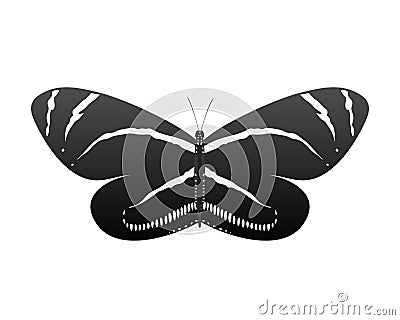Colorful butterfly with abstract decorative pattern summer free fly present silhouette and beauty nature spring insect Vector Illustration