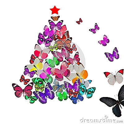 Colorful Butterfly Christmas Card Stock Photos - Image: 27451183