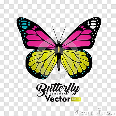 Colorful Butterfly illustration vector collection Vector Illustration