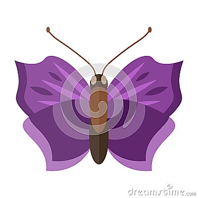 Colorful butterfly vector illustration. Vector Illustration