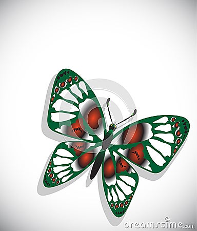 Colorful butterfly on white background Vector Illustration