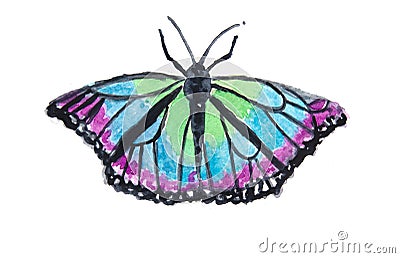 Colorful butterfly on white background Stock Photo