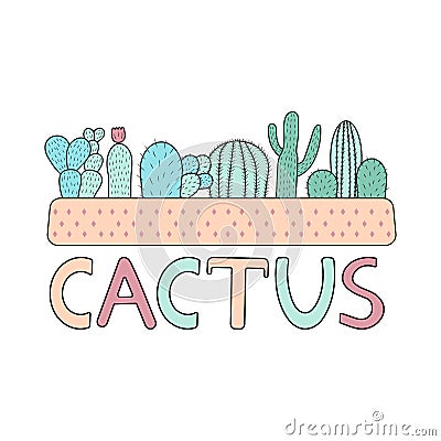 Colorful cactuses on the white background Vector Illustration