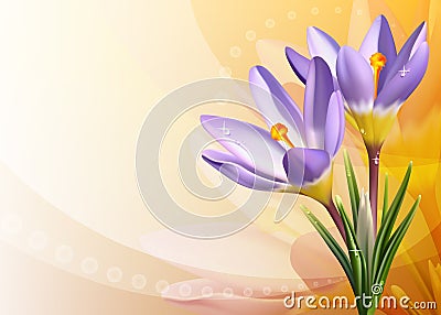 Colorful card with crocuses Vector Illustration