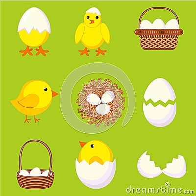 Colorful cartoon chicken eggs set Vector Illustration