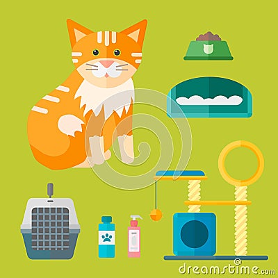 Colorful cat accessory cute vector animal icons pet equipment Vector Illustration