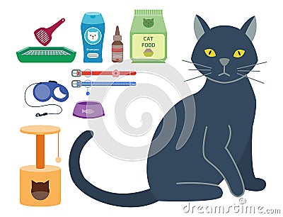 Colorful cat accessory cute vector animal icons pet equipment food domestic feline illustration. Vector Illustration