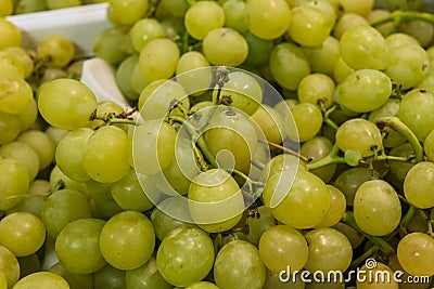 Colorful cherry tomatoes in local market fruit stand Stock Photo