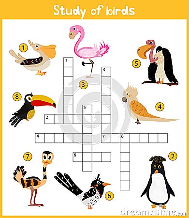 A colorful children's cartoon crossword, education game for children on the theme of exploring different species of birds from aro Cartoon Illustration