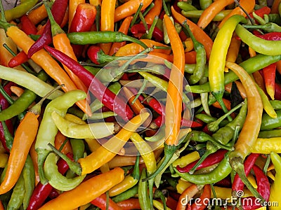 Colorful Chili Peppers Stock Photo